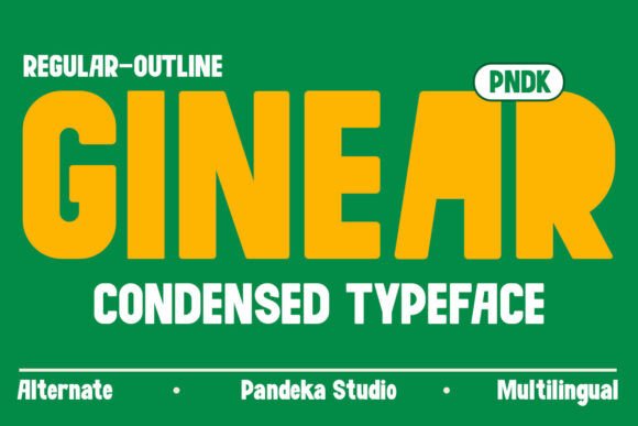 Ginear: A Modern Sans Serif Review