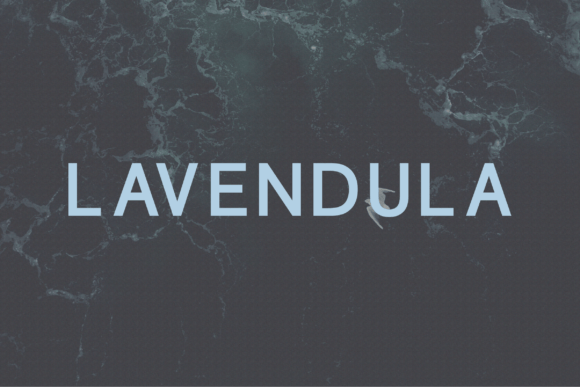 Lavendula: A Font for Clear, Strong Campaigns