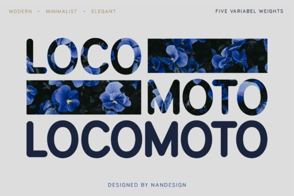 Locomoto Rounded: A Font for Business Success