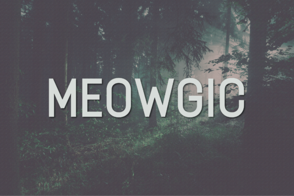Meowgic: A Font for Polished Branding
