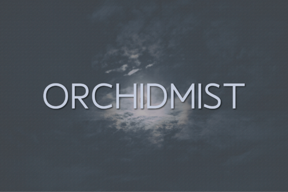 Orchidmist: A Font for Business Brilliance