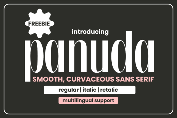 Panuda: A Font for Thoughtful Design