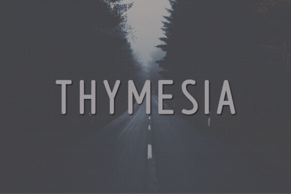 Thymesia: Modern Sans Serif Font
